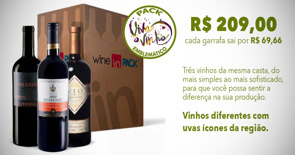 Pack Viva o Vinho Premium - Wine in Pack