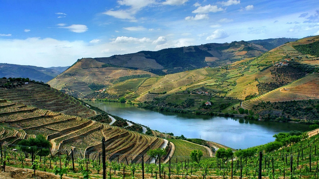 Douro, Portugal, Viva o Vinho