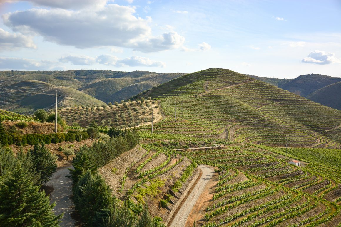 Quinta da Leda, Douro | Viva o Vinho