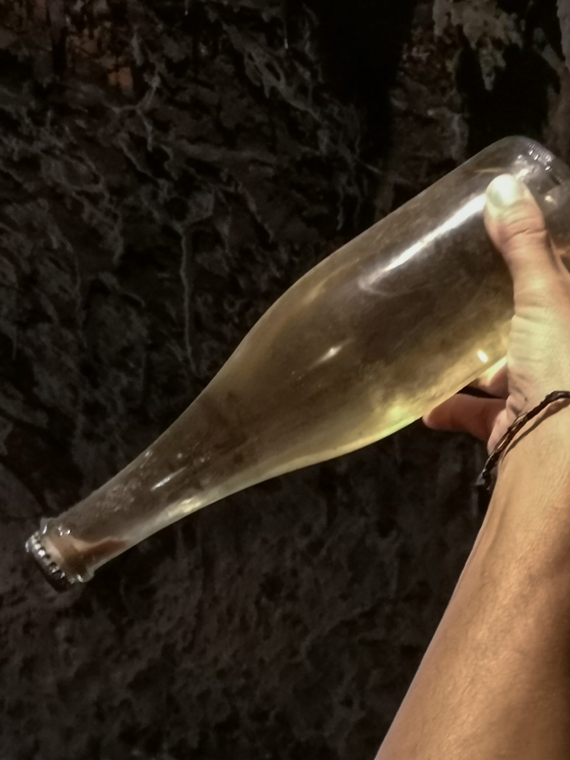 Caves São Domingos | Viva o Vinho